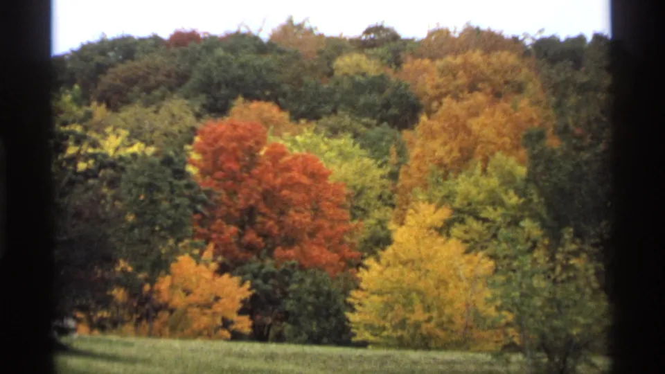 1974 Minnesota 8mm view of a wooded hillside in fall color, seen through dark window-frame edges.