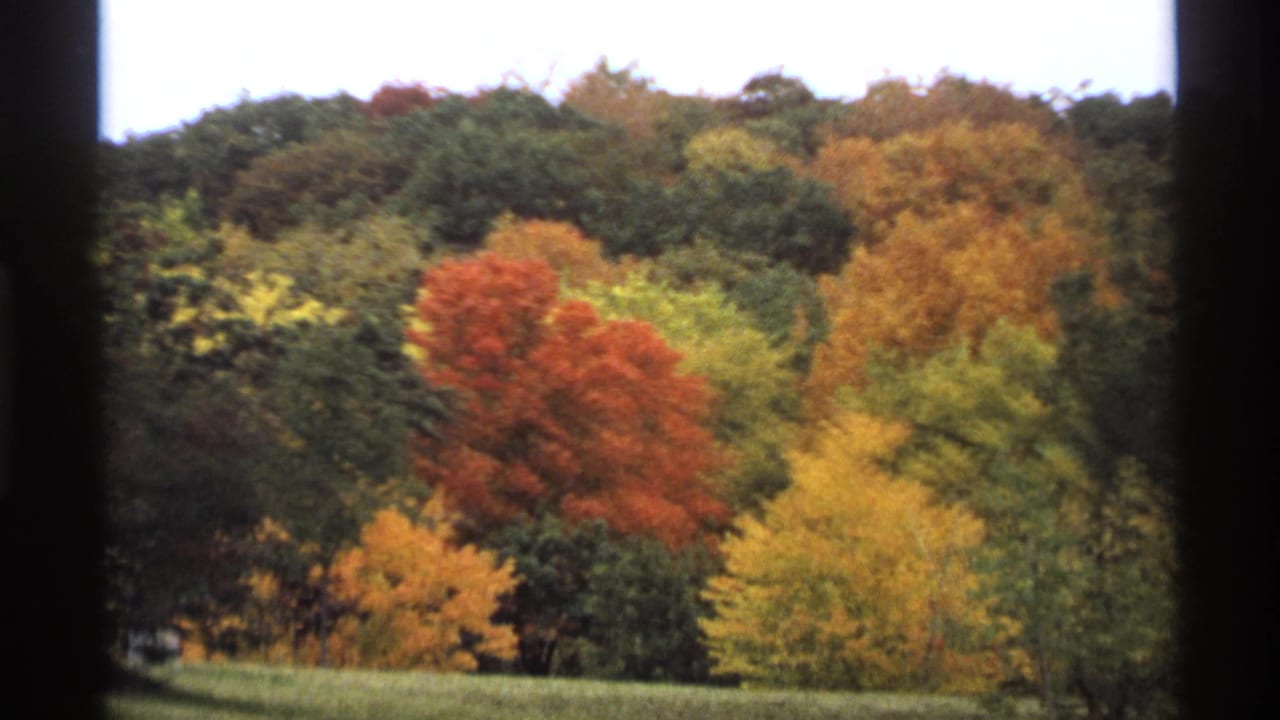 1974 Minnesota home-movie frame of red and yellow fall trees across a hillside, with the view partially framed by a window.