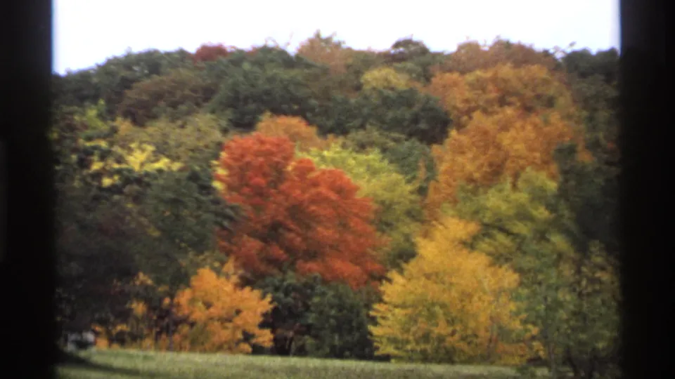 1974 Minnesota home-movie frame of red and yellow fall trees across a hillside, with the view partially framed by a window.