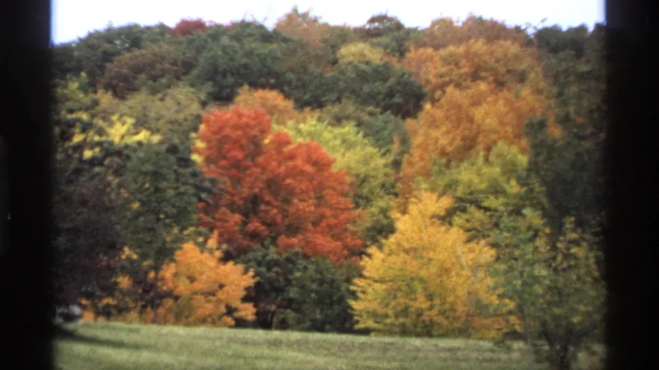 Minnesota 1974 8mm footage shows a softly focused hillside of orange, yellow, and green fall trees through a window edge.