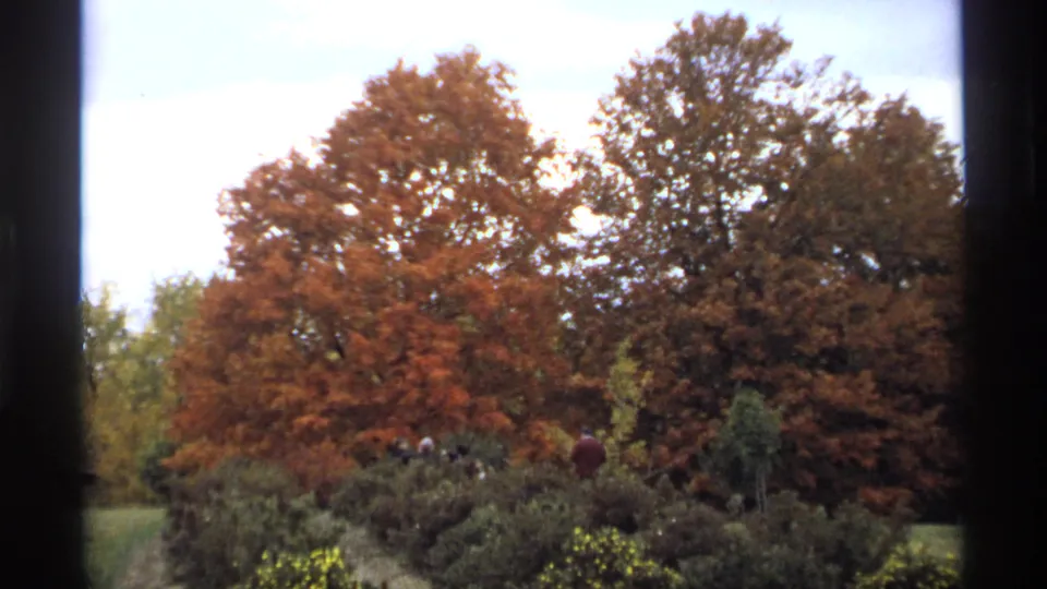 1974 Minnesota frame showing large orange-brown trees and shrubs, with a few small distant people partly visible near the lower center.