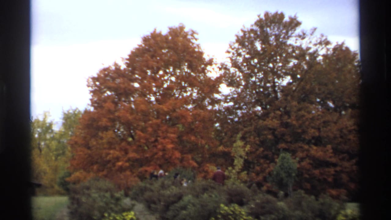 1974 Minnesota 8mm frame showing red-orange autumn trees, shrubs, grass, and distant people viewed through a dark window-like divider.
