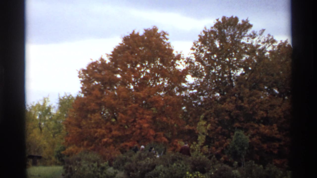 Red autumn trees and shrubs in a park with small distant figures near the center.