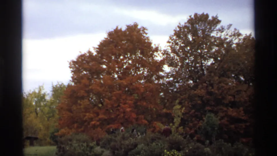 Soft 8mm frame from 1974 Minnesota showing tall orange-brown trees, shrubs, grass, and small distant people in an autumn park.