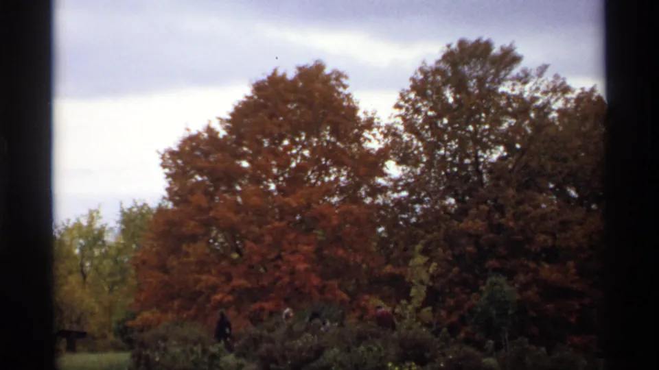 1974 Minnesota 8mm still with a person in dark clothing walking away from others under red and brown fall trees in a park.