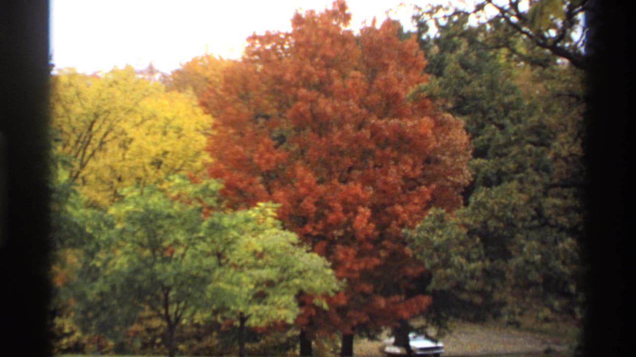 Red and yellow autumn trees with a small white car partly visible below.