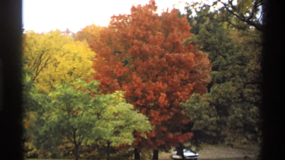 1974 Minnesota fall foliage scene with red, yellow, and green trees and a partially visible white car near the bottom edge.