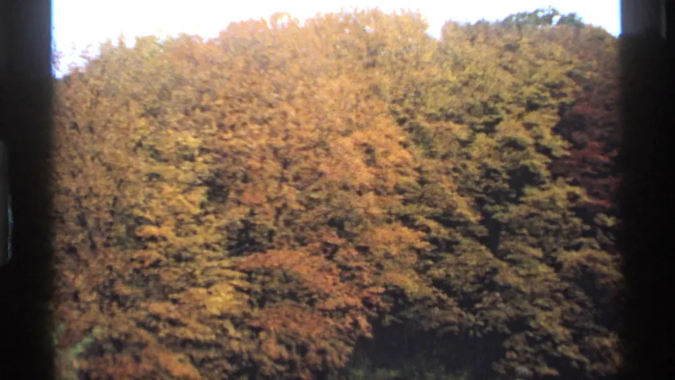 A softly focused 1974 Minnesota 8mm frame of a wooded hillside in autumn color, with dark vertical borders suggesting a view through a window or structure.