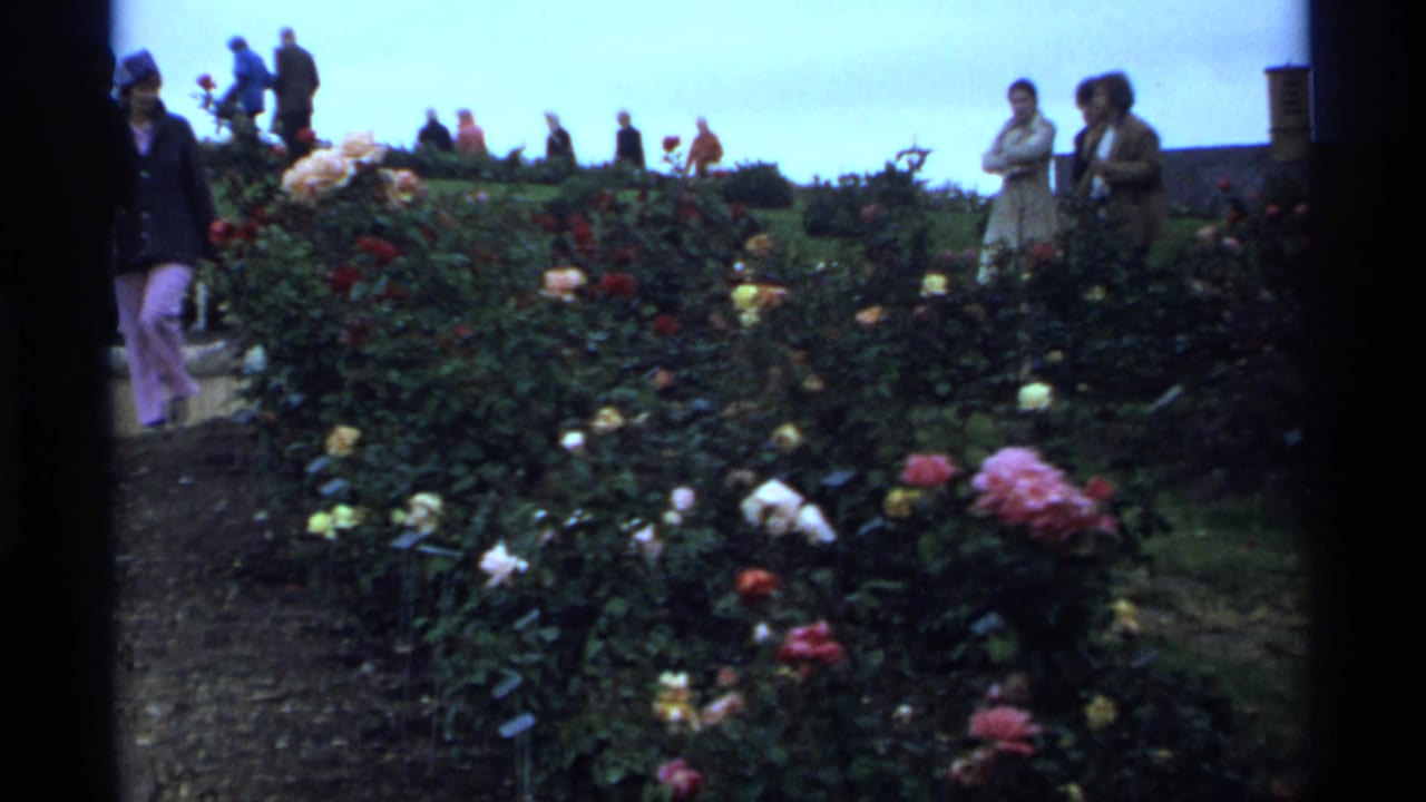 Visitors stand and walk near rose beds on a sloped garden path.