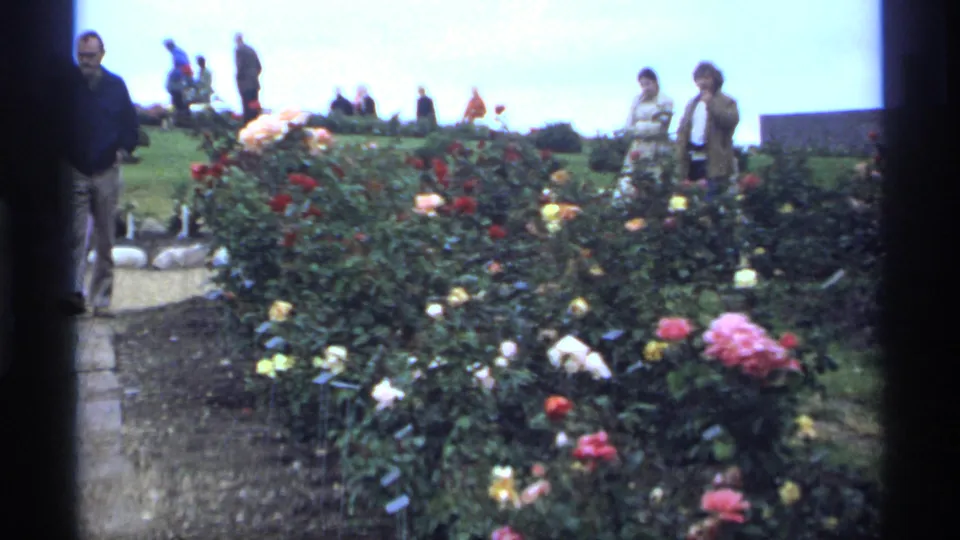 Minnesota 1974 8mm frame showing adults near gravel and paved paths, with rose bushes, plant labels, lawn, and cloudy sky visible.