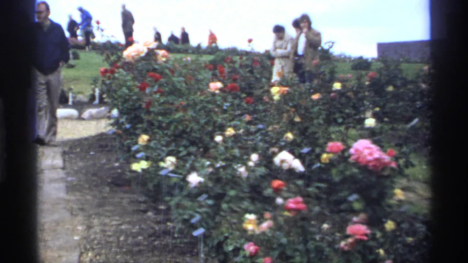 Minnesota 1974 frame of visitors in jackets beside a rose bed with red, pink, yellow, and white flowers along a garden walkway.