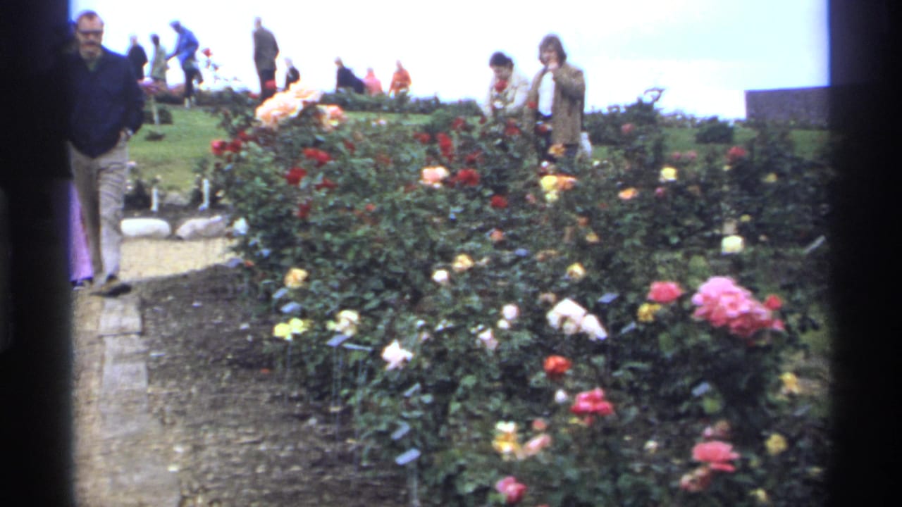 Visitors walk beside rose beds in a park garden.