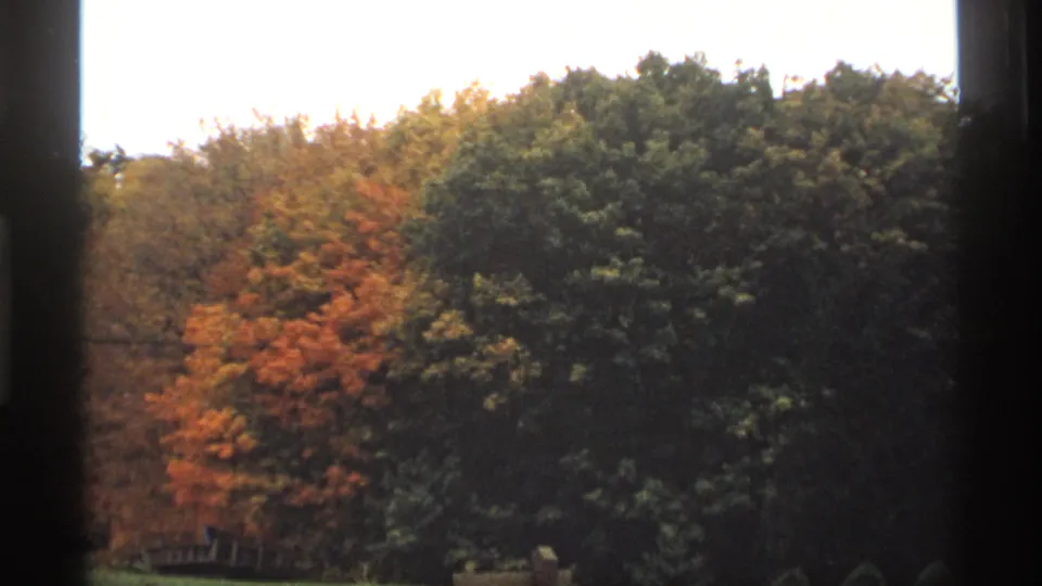 1974 Minnesota 8mm frame of autumn trees, with orange foliage beside darker green evergreen or dense canopy.