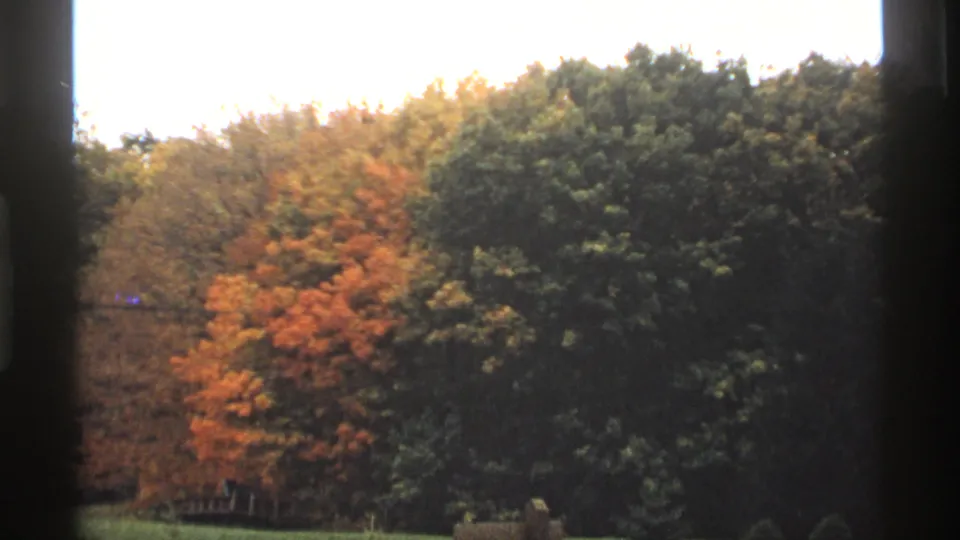 1974 Minnesota home-movie frame showing fall-colored trees against a dense green wooded backdrop.