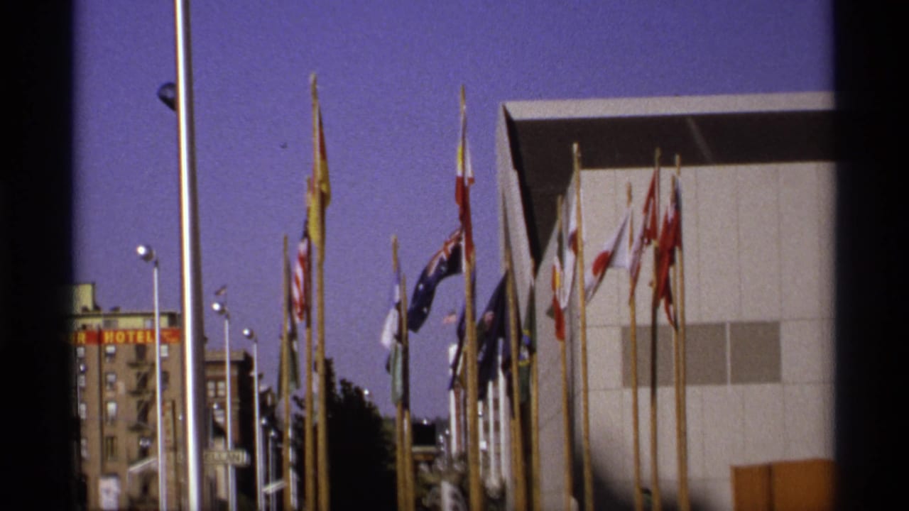 International flags on flagpoles near exhibition buildings and a distant hotel.