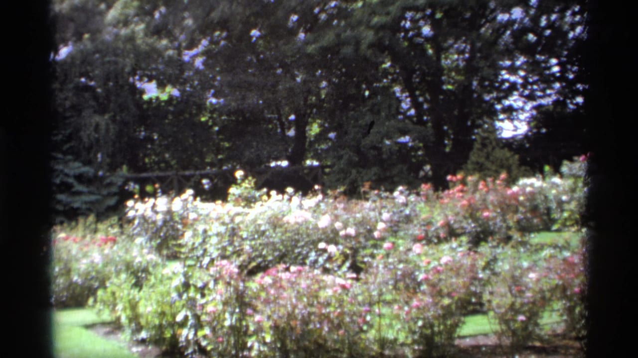 1974 Vancouver home-movie frame showing rose beds, lawn, and dense trees in soft 8mm color.