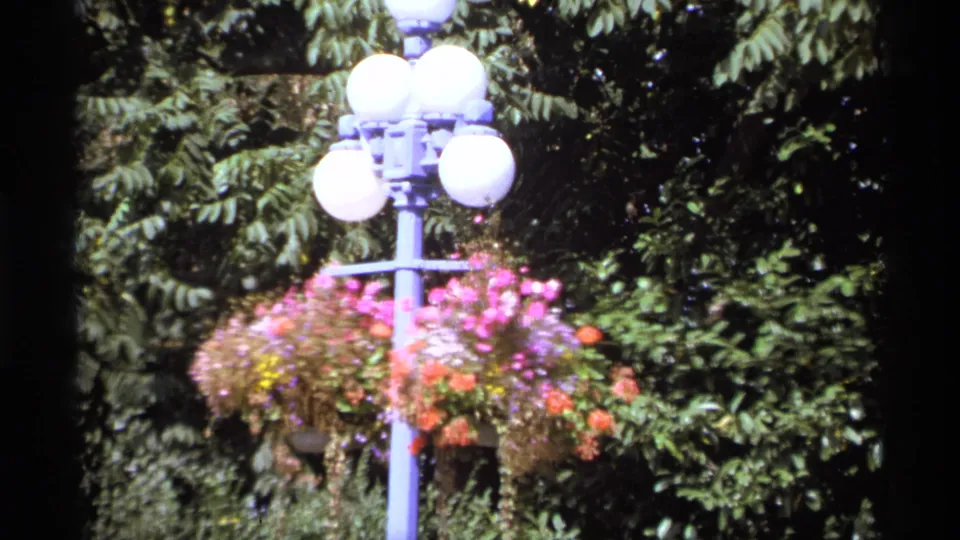Decorative blue lamppost with white globe lights and hanging flower baskets in 1974 Vancouver garden footage.