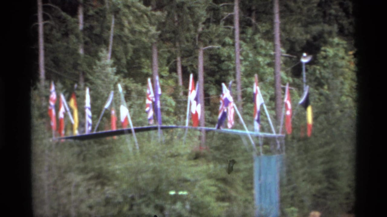 Cluster of flags beside trees in a wooded outdoor setting.