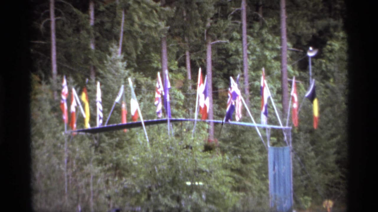 International flags stand beside trees and greenery in a garden setting.