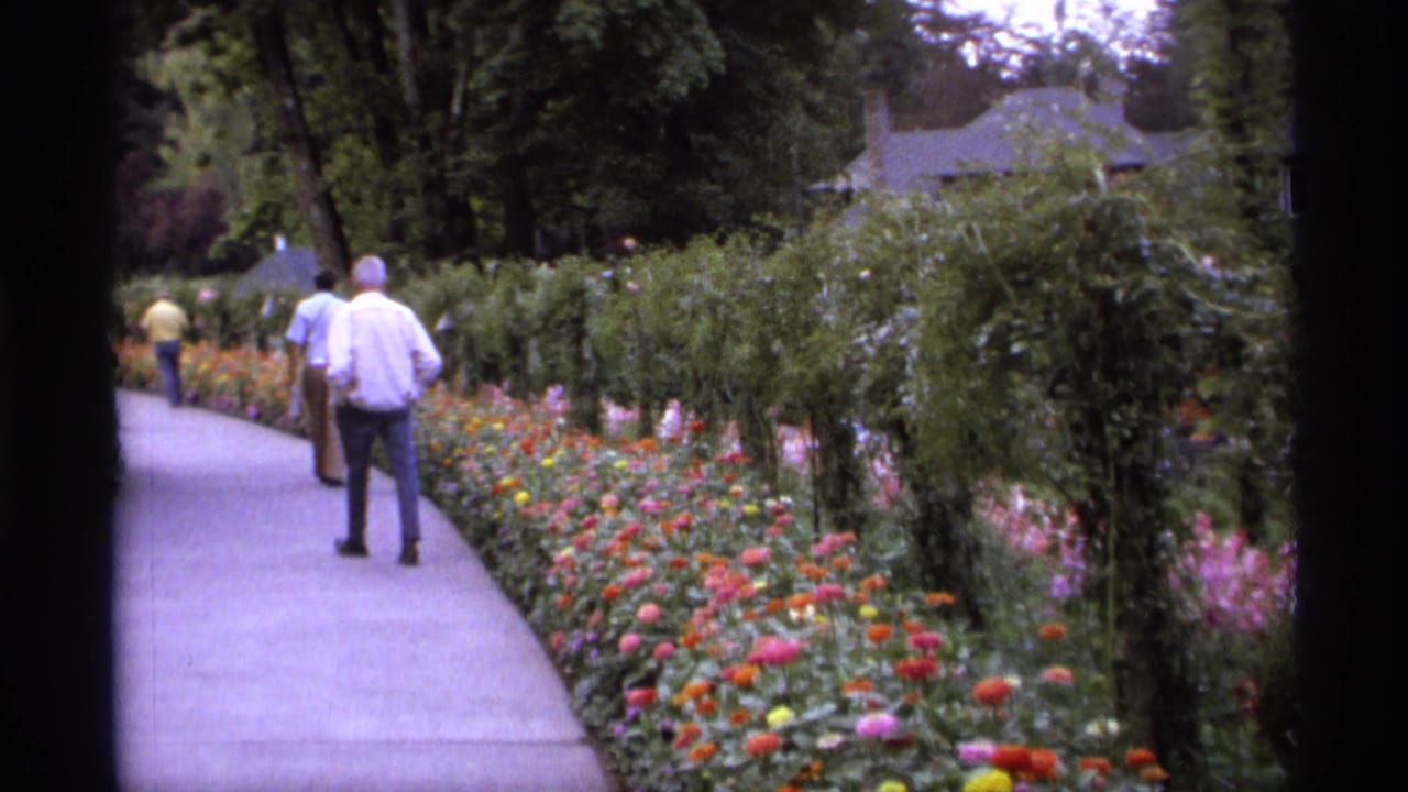 A man walks on a paved path beside colorful flower beds and hedges.