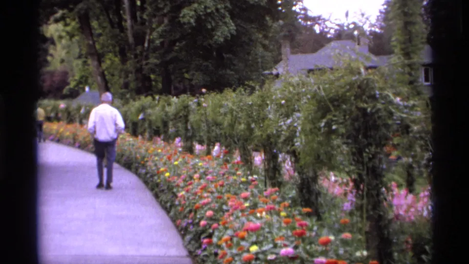 1974 Vancouver home-movie frame of a man seen from behind on a garden path with dense flowers and hedges.