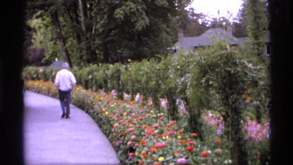 1974 Vancouver garden footage frame with a man walking away along a path beside colorful blooms and hedges.