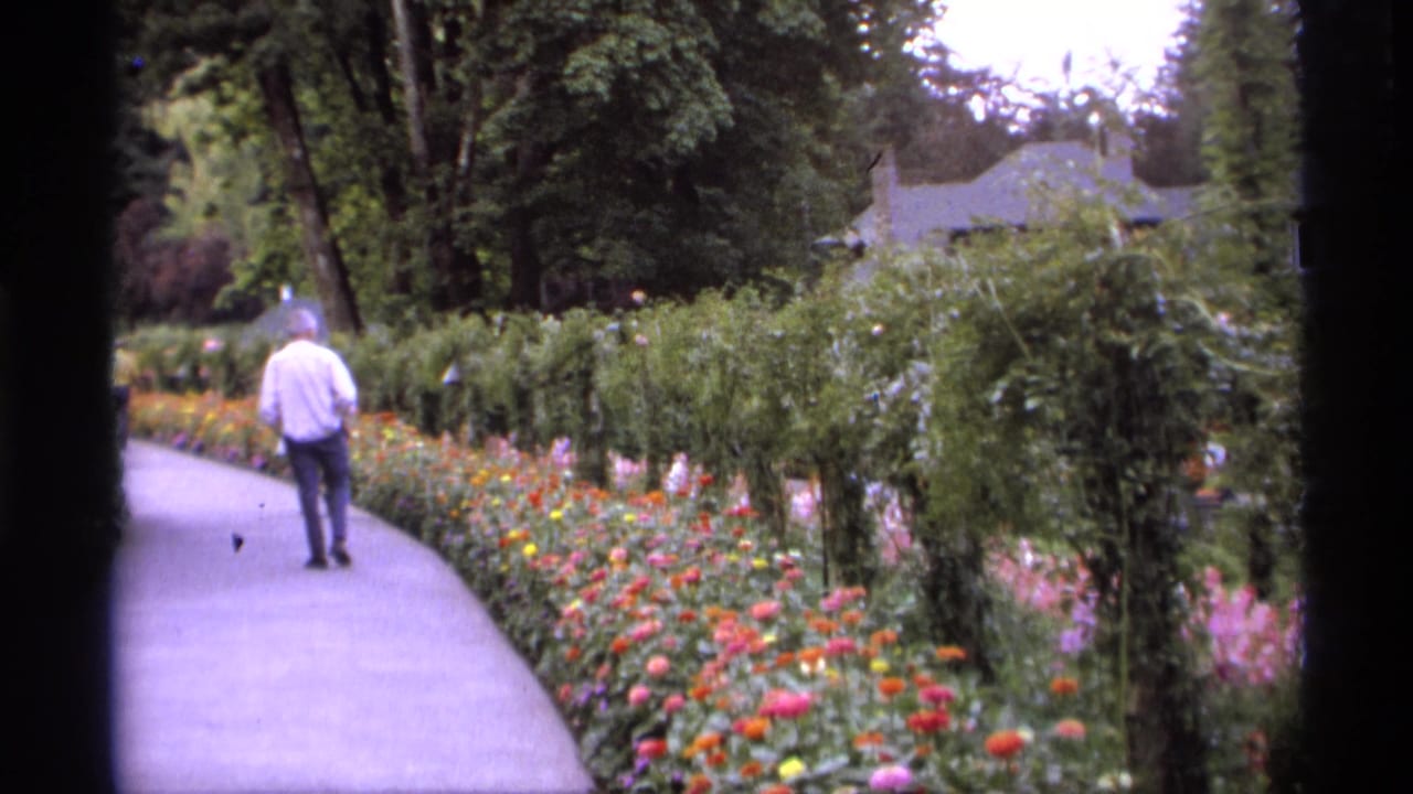 Man walking on a paved garden path beside flower beds and hedges.