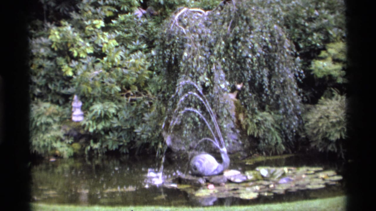 Garden pond with fountain spray, lily pads, and dense foliage.