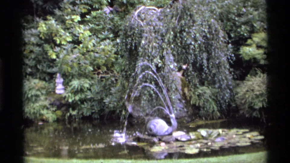 1974 Vancouver garden pond with arcing fountain water, lily pads, shrubs, and a pale ornamental figure partly visible among foliage.