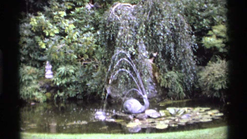1974 Vancouver 8mm frame of a landscaped pond with fountain arcs, lily pads, shrubs, and soft home-movie color.