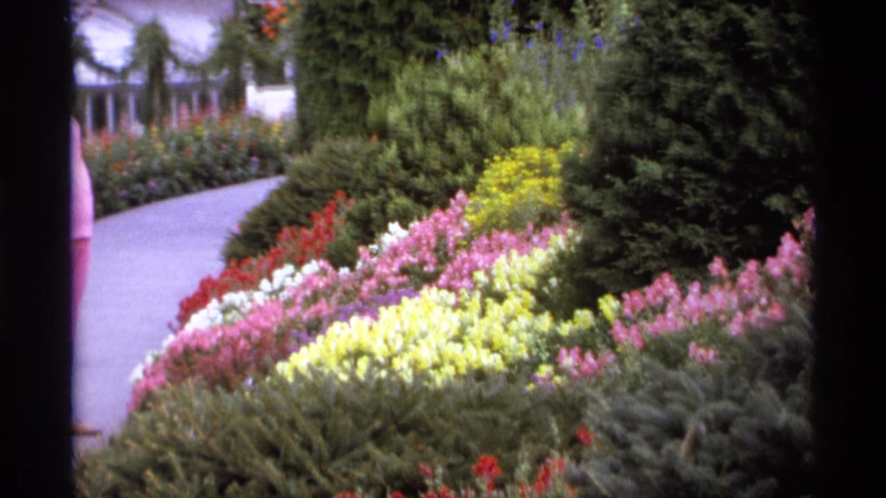 Colorful flower beds beside a curved garden path with shrubs and a partial visitor at the edge.