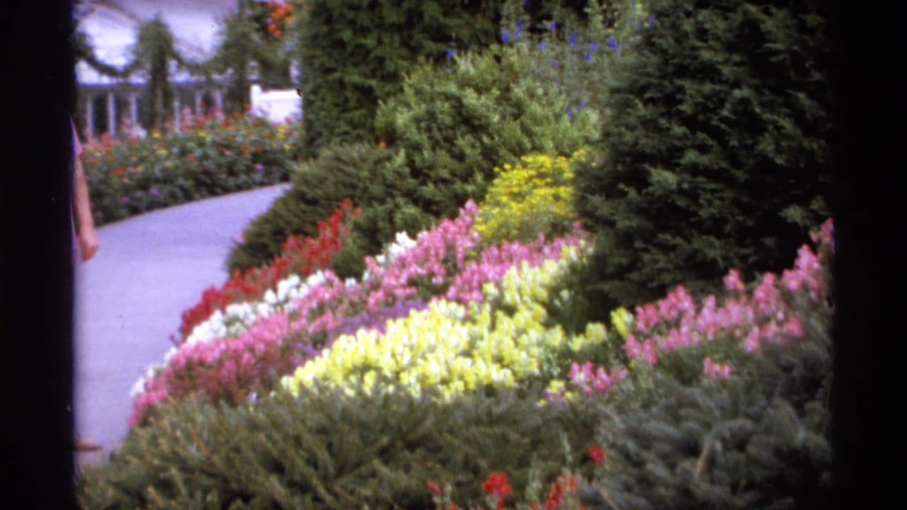 Flower beds and shrubs along a garden path, with a partial person near the frame edge.