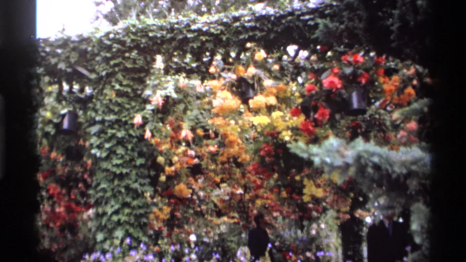 1974 Vancouver 8mm frame of an ivy-covered garden arch with orange and red hanging baskets and distant visitors near the base.