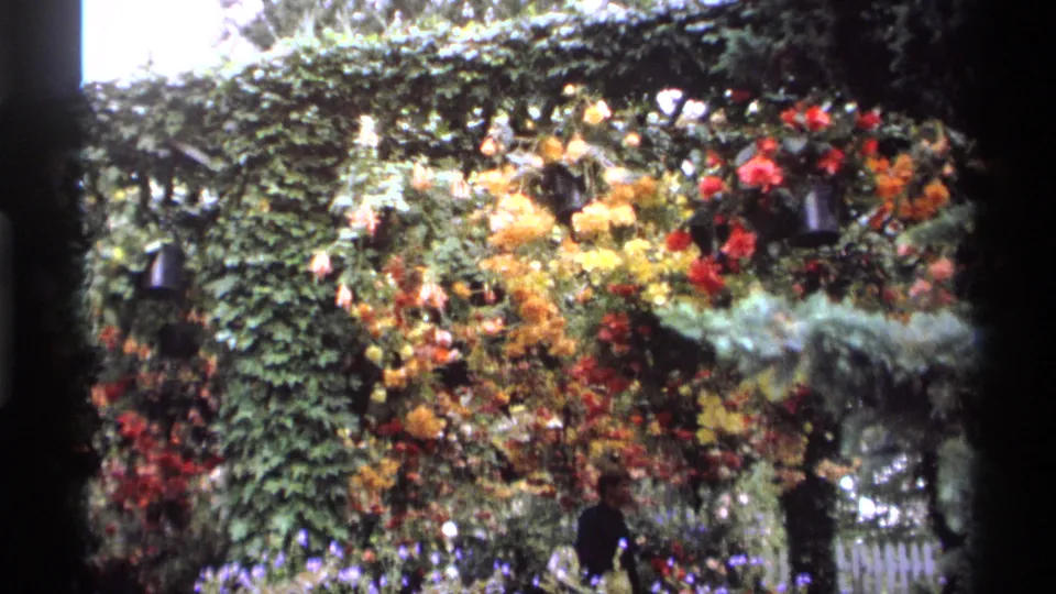 1974 Vancouver garden frame showing a flower-laden ivy arch, hanging baskets, dense greenery, and distant visitors in dark clothing.