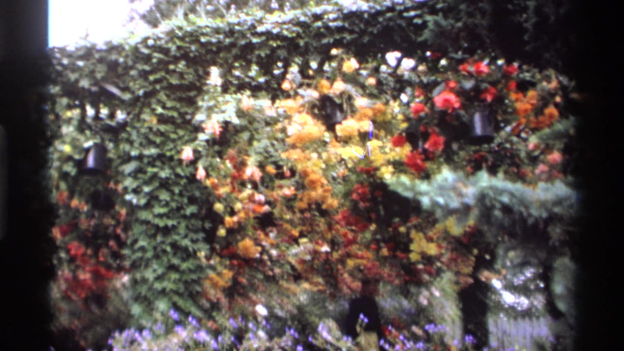 Flower-covered arbor or hedge with yellow and red blooms in a garden.