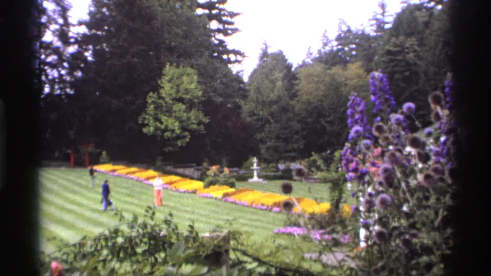 1974 Vancouver garden view with manicured striped grass, long yellow flowerbeds, a white fountain, trees, and visitors walking in the distance.