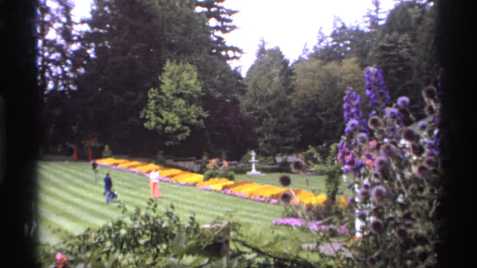 1974 Vancouver garden scene with distant visitors near a striped lawn, bright flowerbeds, tall trees, foreground purple flowers, and a white fountain.
