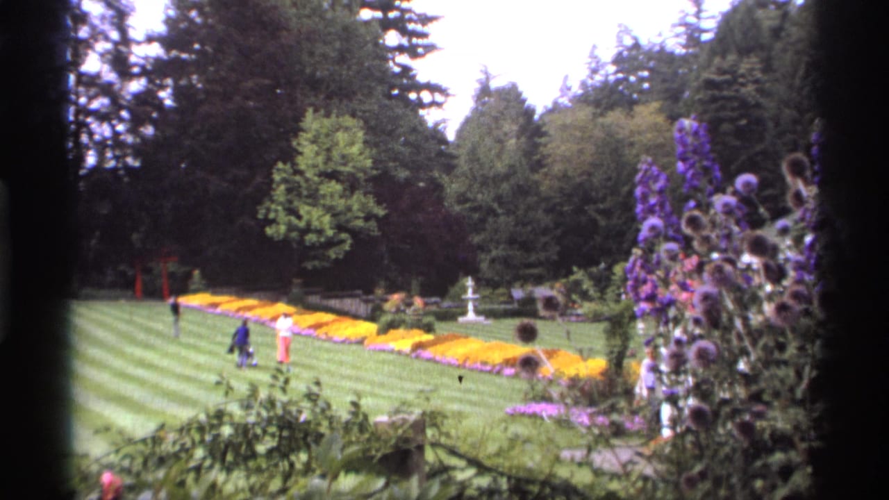Striped lawn, flower borders, trees, and distant visitors in a garden park.