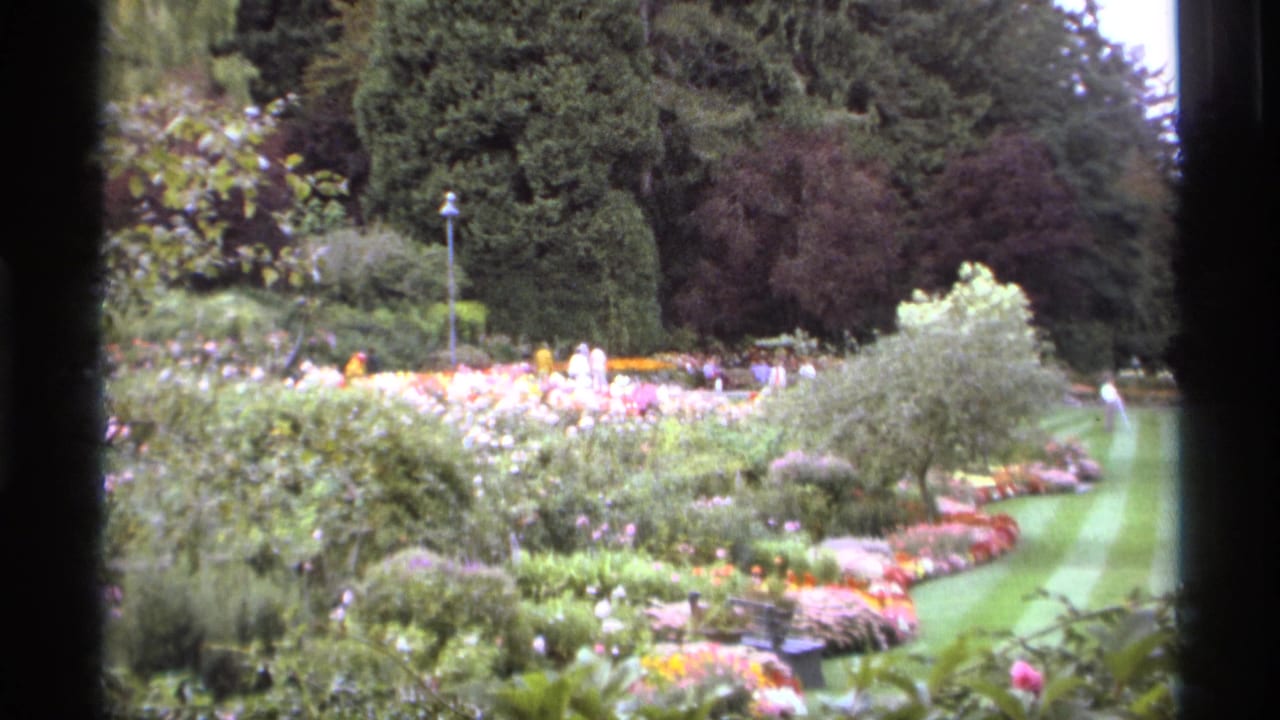 Curving garden beds, shrubs, trees, and distant visitors beside a green lawn.
