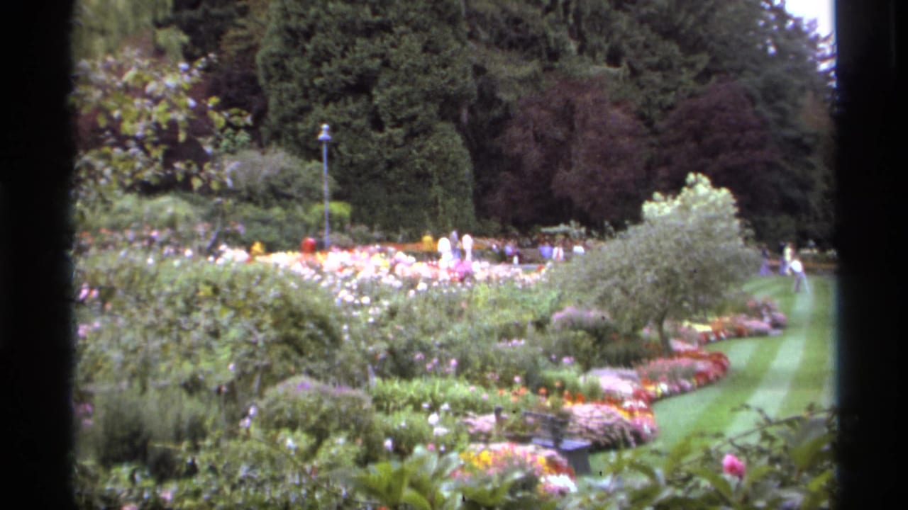 Flower beds and lawn seen through dark vertical foreground edges in a lush garden.
