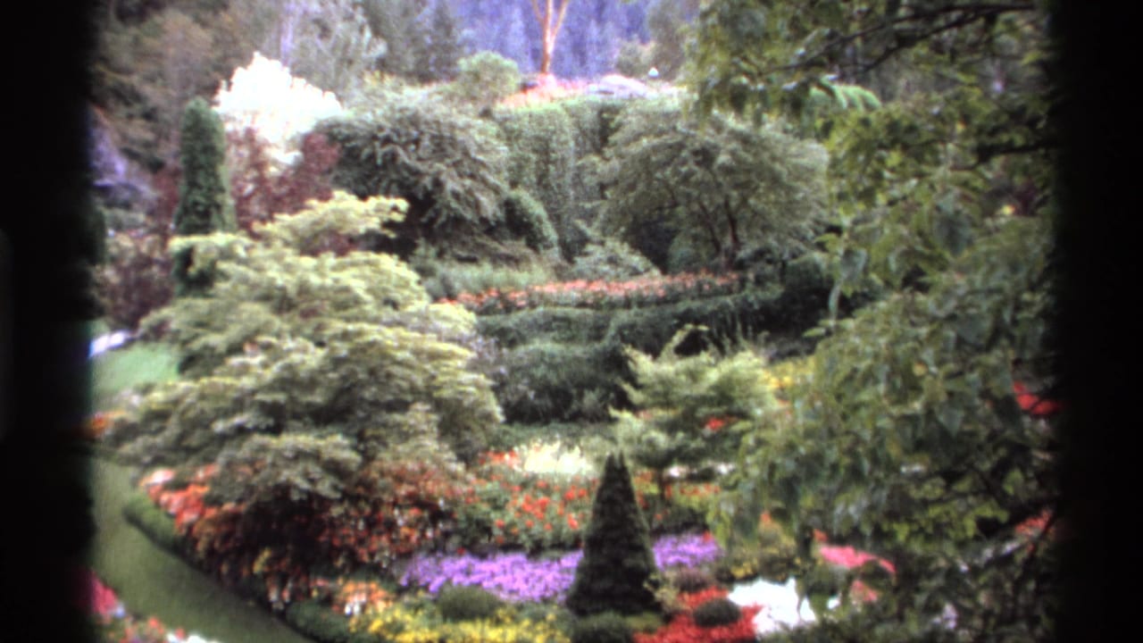 Formal garden with dense shrubs, flowerbeds, clipped grass, and dark film borders.