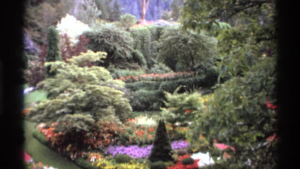 1974 Vancouver garden view with layered shrubs, colorful beds, clipped lawn, and soft 8mm home-movie texture.