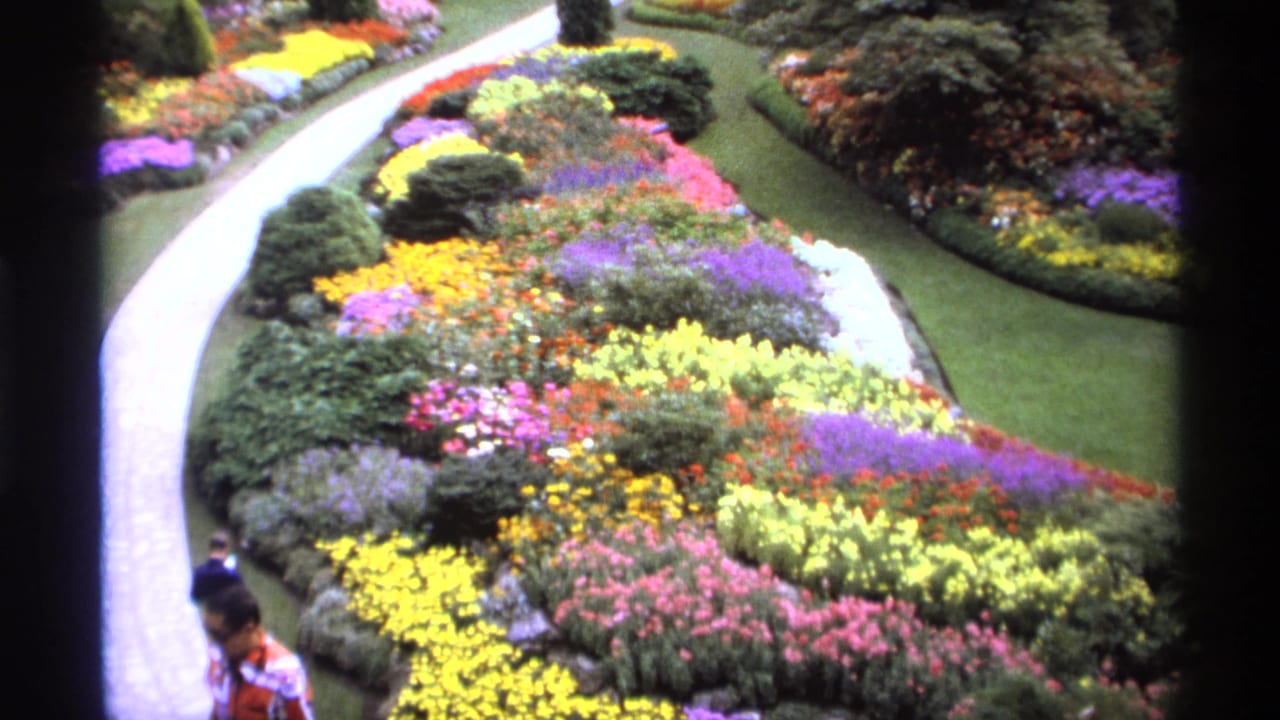 Curving pale path beside colorful flowerbeds, lawns, shrubs, and visitors near the lower edge.