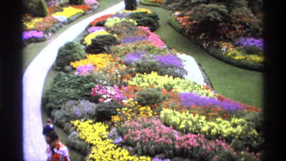 1974 Vancouver garden path curves past bright yellow, pink, purple, and white flowerbeds with visitors partly visible below.