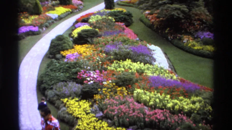 1974 Vancouver garden scene with a pale path winding through vivid flowerbeds while visitors pass near the lower frame.