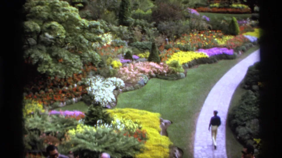 1974 Vancouver garden view showing patterned flowerbeds, shrubs, lawn, and a visitor walking along the curved path.