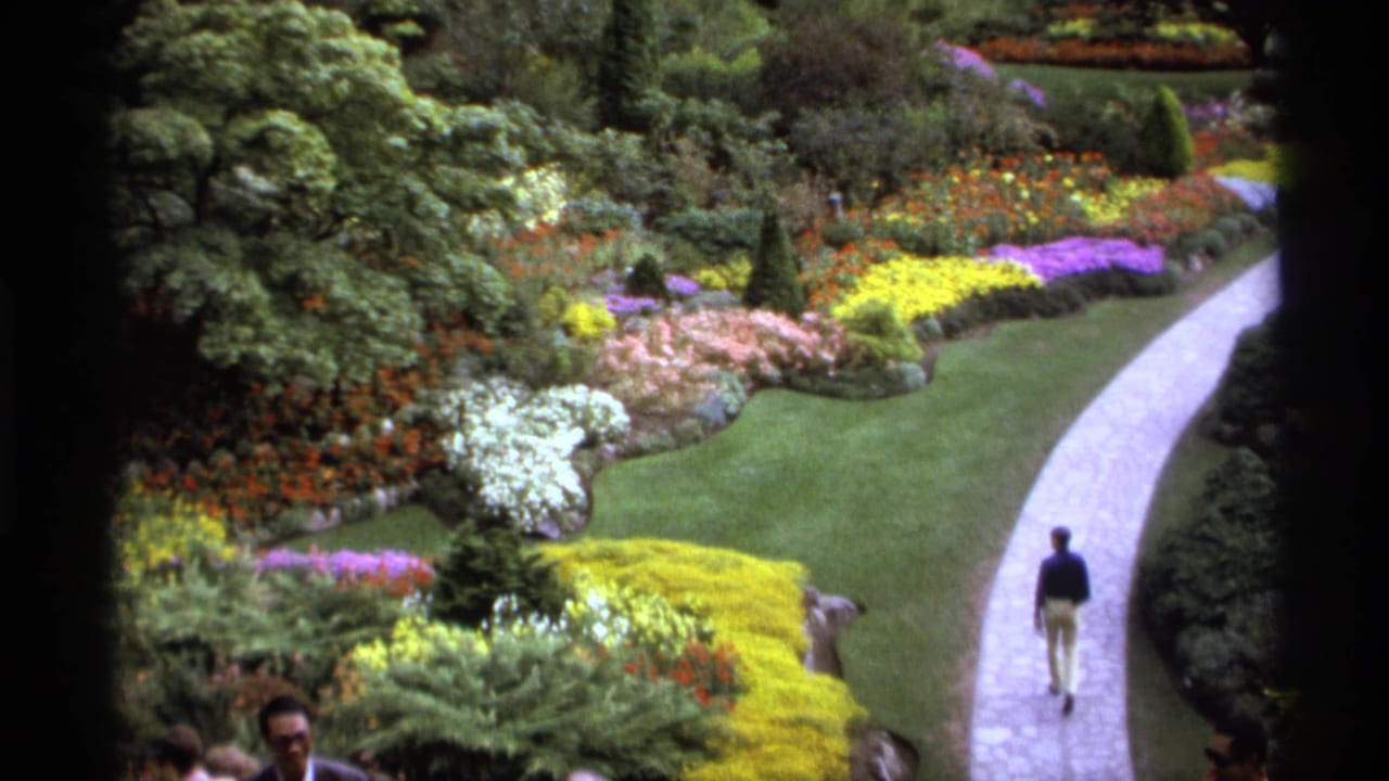 Man walking away on a curved garden path bordered by flowers, lawn, and trees.