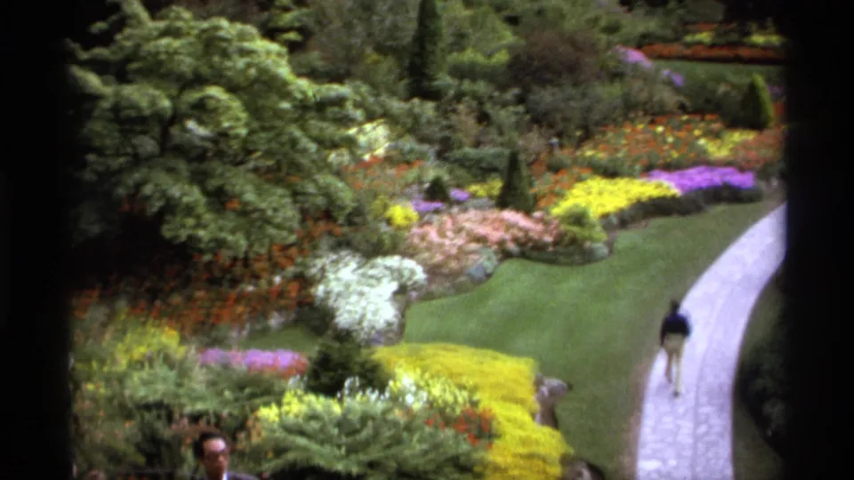 A home-movie view shows the walking man near a bend in the Vancouver garden path, with clipped lawn and layered flower beds around him.
