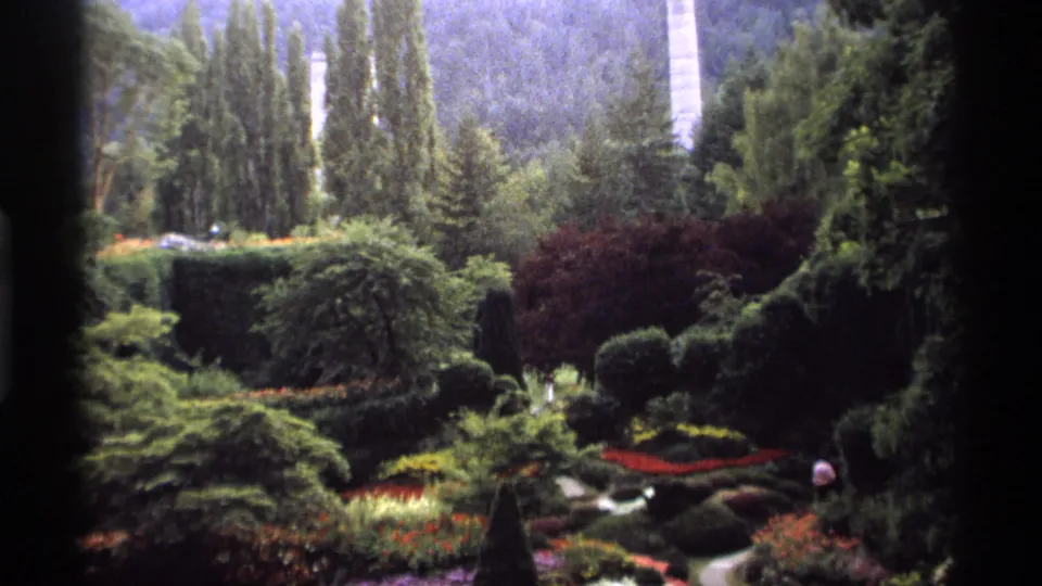 A wider 1974 Vancouver garden view shows layered shrubs, tall trees, flower beds, and a pale path partly visible beyond the greenery.
