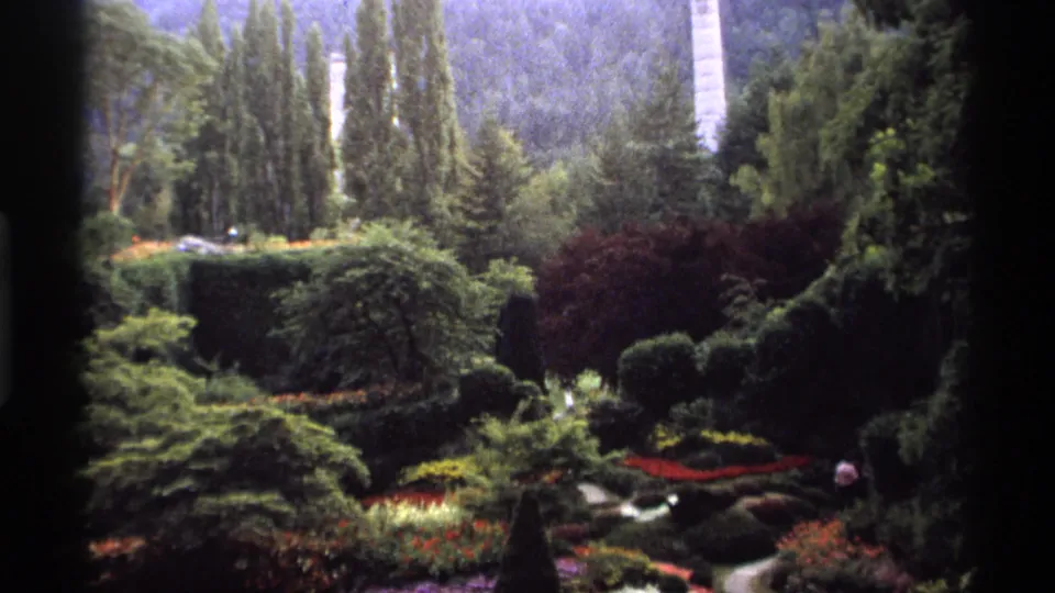 1974 Vancouver garden footage shows layered shrubs, red flower beds, tall trees, a wooded slope, and a white tower rising above the treeline.